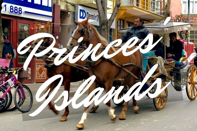 Princess Island Tour with Lunch & Ferry Ride - Pickup, Timing, and Ferry Limits: The Main Things to Watch