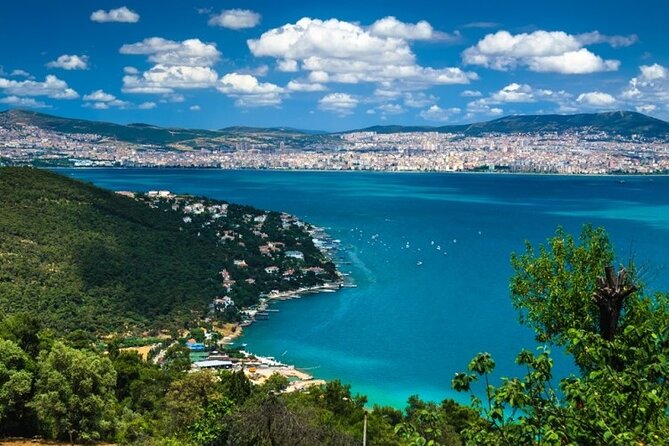 Princess Island Tour with Lunch & Ferry Ride - Stop on Büyükada: Carriage Travel and Beach Time Without the Stress