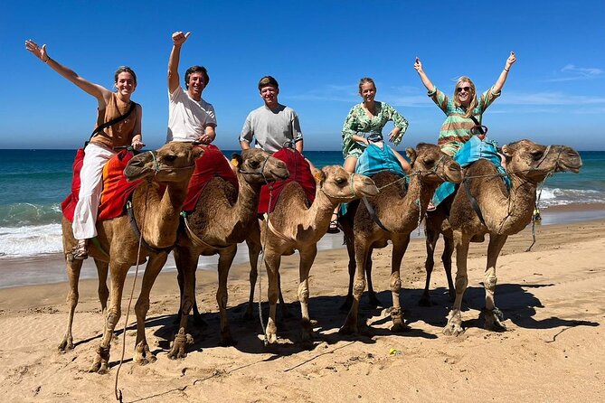 Private Tangier Tour from Ferry or Cruise Ship Including Lunch - Gardens, Synagogue Visit, and the Tangier Casbah on a Hill