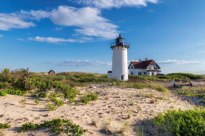 Provincetown and Cape Cod High Speed Ferry to/from Boston - Key Highlights Worth Booking For