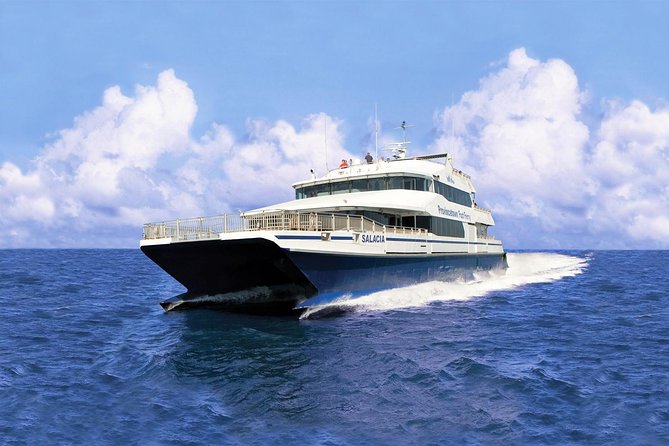 Provincetown and Cape Cod High Speed Ferry to/from Boston - Long Wharf Departure: What the First 30 Minutes Feel Like