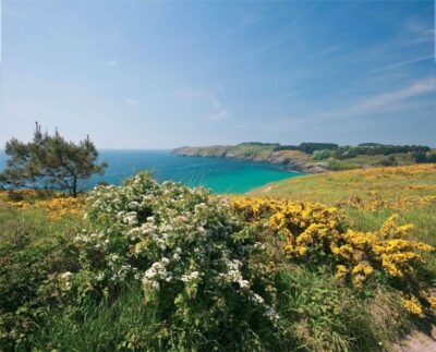 Quiberon: Ferry tickets from/to Belle-Île-en-Mer, Le Palais - Belle-Île-en-Mer: why this one-day ticket feels like real vacation time