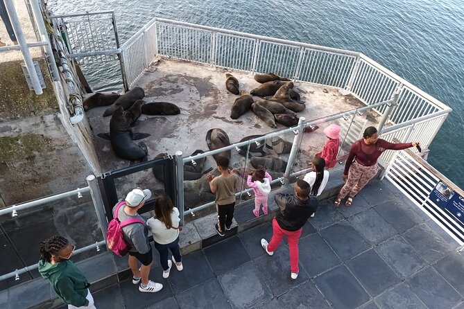 Robben Island Cape Of Good Hope Penguins Including Ferry Ticket - Cape Point: Cliffs, Funicular Access, and Optional Lighthouse Views