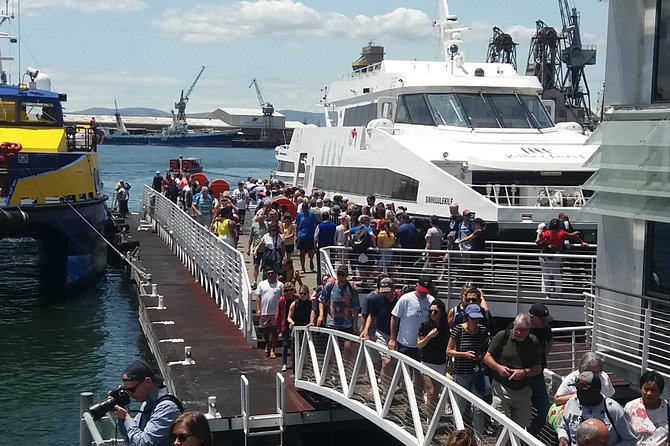 Robben Island Museum, Stellenbosch Wineries plus Ferry Tickets - Who should book this tour (and who might not)