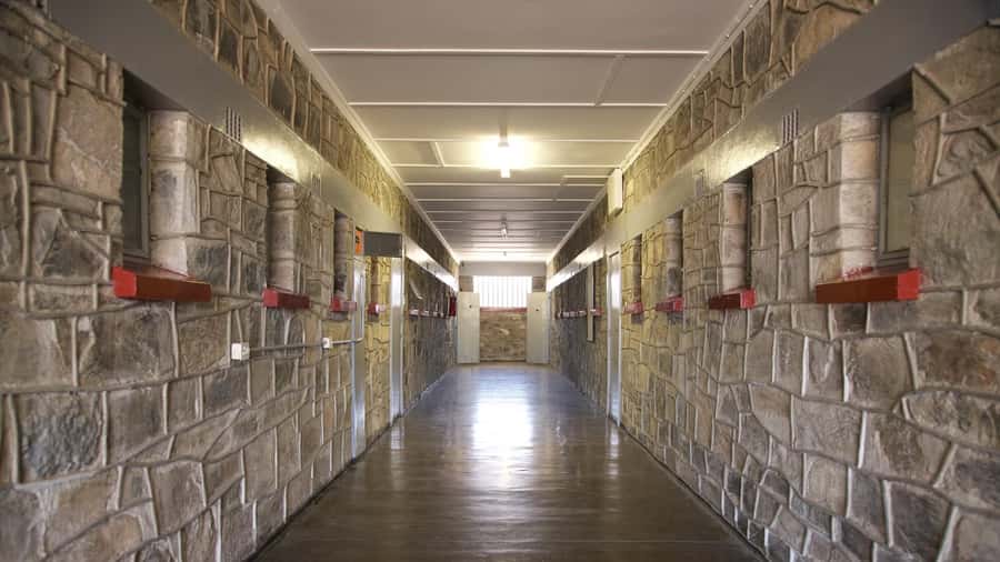 Robben Island Museum Tour, Ferry with last minute tickets - Should you book this Robben Island museum tour?