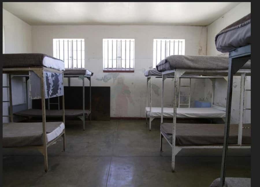 Robben Island Museum Tour with Transfer and Ferry Tickets. - Robben Island in a half-day: how the 5 hours really feel