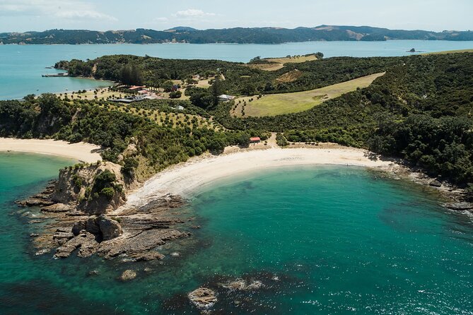 Rotoroa Island Ferry - from Auckland - Key points before you go