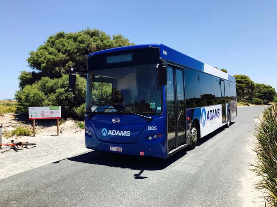 Rottnest Grand Island Package with Ferry, Tour & Light Lunch - Ferry first: how Perth or Fremantle gets your Rottnest day rolling
