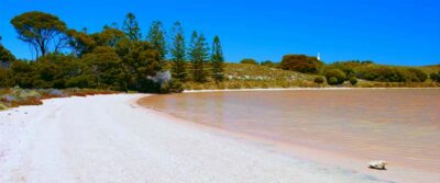 Rottnest Grand Island Package with Ferry, Tour & Light Lunch - Meeting at Rottnest Settlement: where you start (and where people get stuck)