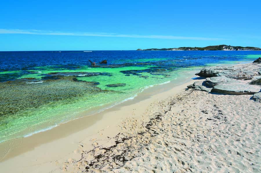 Rottnest Grand Island Package with Ferry, Tour & Light Lunch - Free time on Rottnest: using the breaks for quokkas and photos