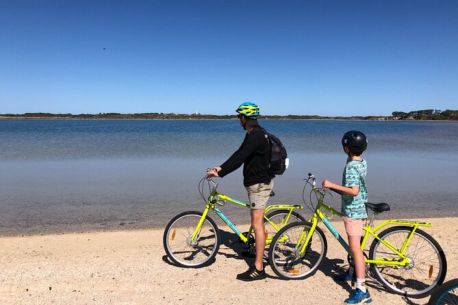 Rottnest Island Fast Ferry from Hillarys Boat Harbour Including Bike Hire - Beaches, quokkas, and a swim-friendly day plan