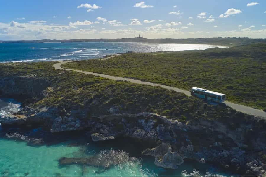 Rottnest Island Ferry and 1.75 Hr Bus Tour - Rottnest Island Ferry: Be There at 7:30 from Hillarys