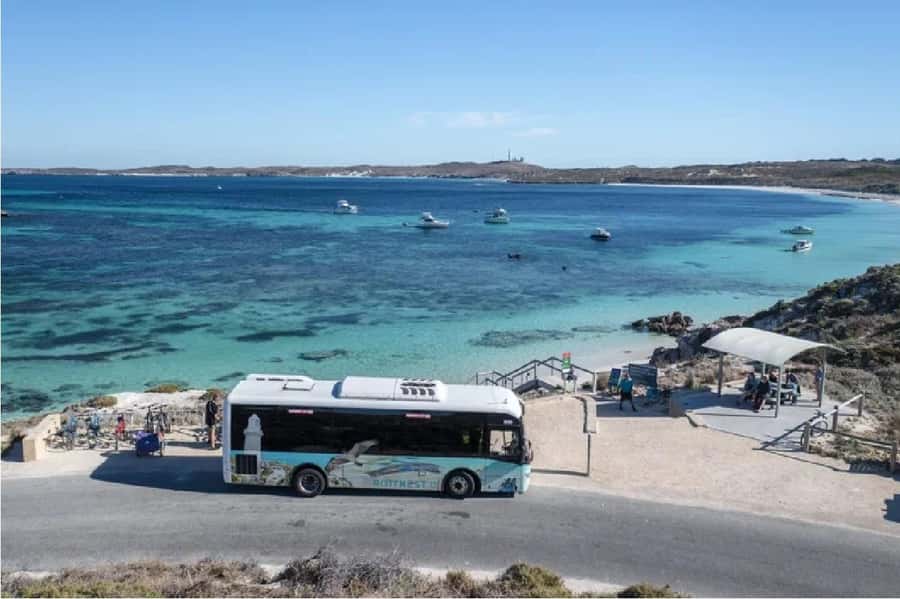 Rottnest Island Ferry and 1.75 Hr Bus Tour - Wadjemup Lighthouse and Henrietta Rocks: Iconic Stops Without the Effort