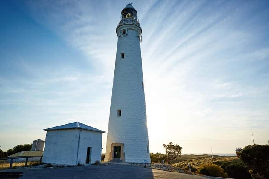 Rottnest Island Ferry and 1.75 Hr Bus Tour - Mabel Cove Lookout, Bays, Beaches, Woodlands, and Salt Lakes
