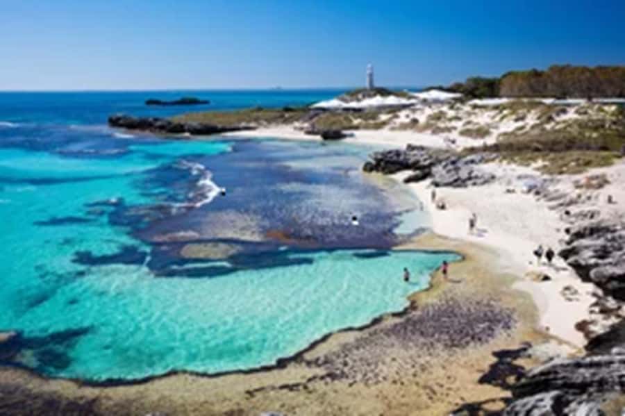Rottnest Island Ferry and 1.75 Hr Bus Tour - Stories of Maritime, Colonial, and Military Heritage (Plus Future Developments)