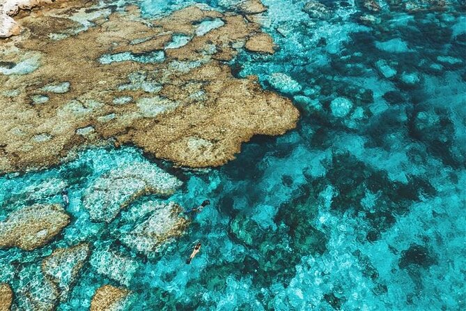 Rottnest Island Round Trip Ferry from Fremantle - Key things to know before you go