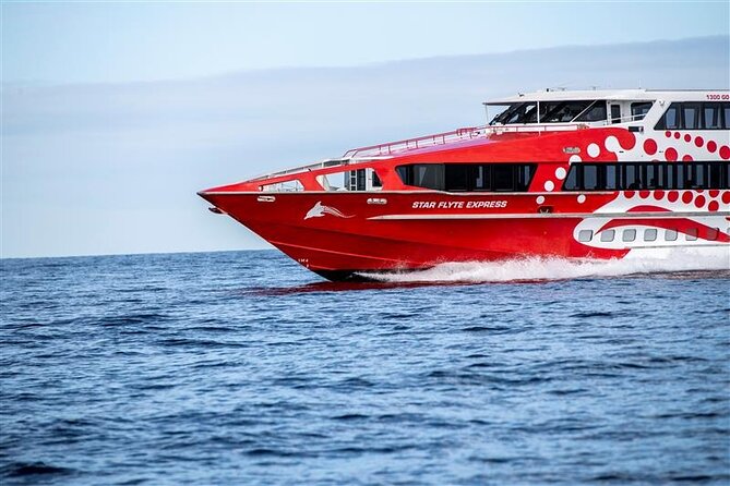 Rottnest Island Round Trip Ferry from Fremantle - Rottnest Island Round Trip From Fremantle: How the Day Flows