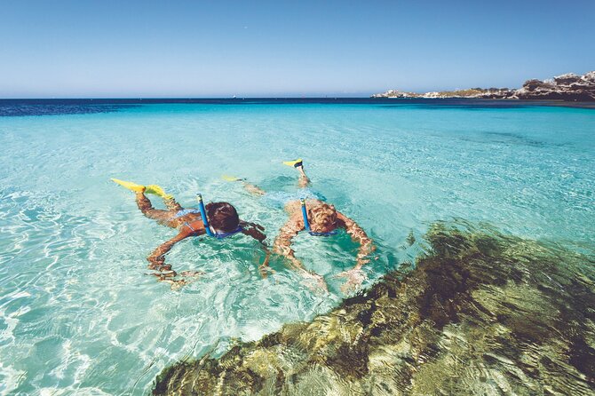 Rottnest Island Round-Trip Ferry from Perth - Key points before you go