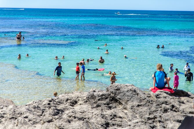 Rottnest Island Roundtrip Fast Ferry from Hillarys Boat Harbour - Fast Ferry From Hillarys: A Clean, Efficient Start