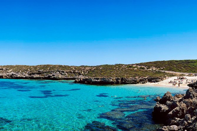 Rottnest Island Roundtrip Fast Ferry from Hillarys Boat Harbour - Getting Around: Bikes, E-bikes, and the Island Bus