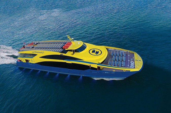 Round Ferry Transfer from Tortugas to Isla Mujeres - Arriving at Isla Mujeres: Why the API Dock Matters