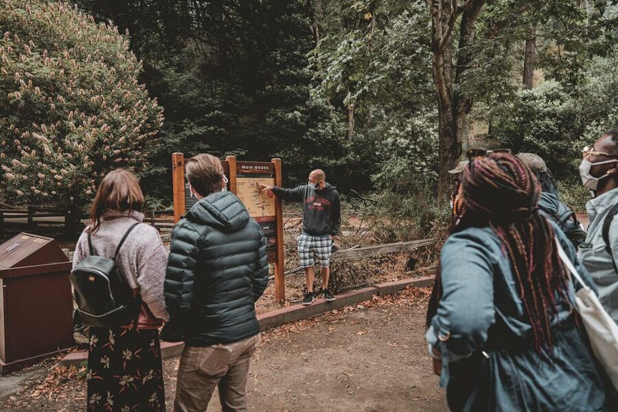 San Francisco: Morning Muir Woods & Sausalito Tour w/ Ferry - Sausalito lunch and browsing: an upscale seaside break