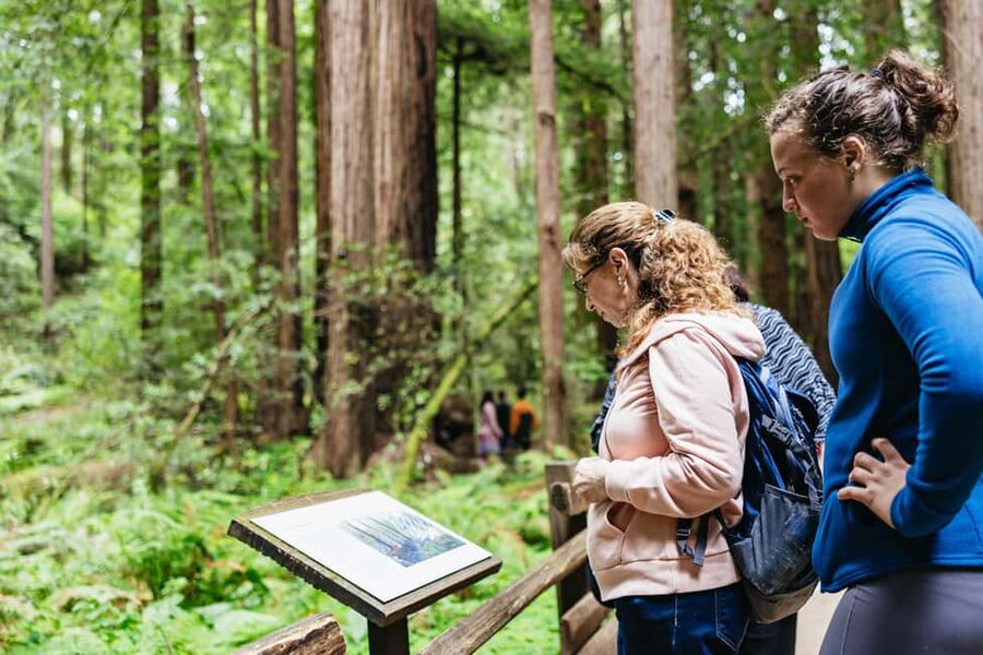 San Francisco: Muir Woods & Sausalito Tour with Ferry Option - Key things to notice before you go