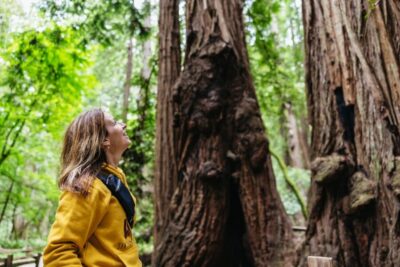 San Francisco: Muir Woods & Sausalito Tour with Ferry Option - Entering Muir Woods: what 90 minutes is really for