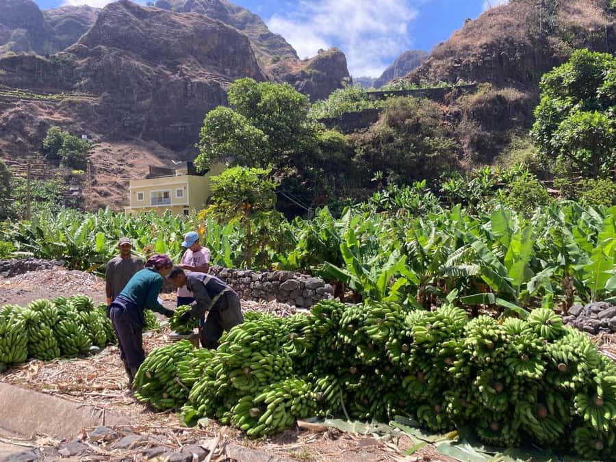 Santo Antão Highlights: Day Trip by Car with Ferry from SV - Why Santo Antão Feels Different From São Vicente