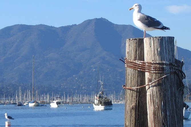 Sausalito Ferry from Pier 41, San Francisco - The crossing itself: indoor, outdoor, and what to expect weather-wise