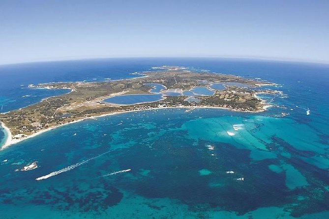 Sealink Bike & Ferry Package from Fremantle - Wildlife and Beach Time: Quokkas, Birds, and a Swim-Ready Day