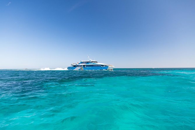 Sealink Bike & Ferry Package from Fremantle - Price and Value: Is $87.15 Good for a Day on Rottnest?