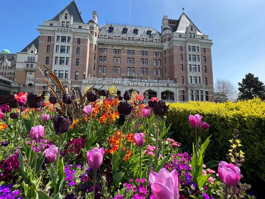 Seattle: Victoria, BC Round-Trip Ferry Tour - Key things I’d circle before you book