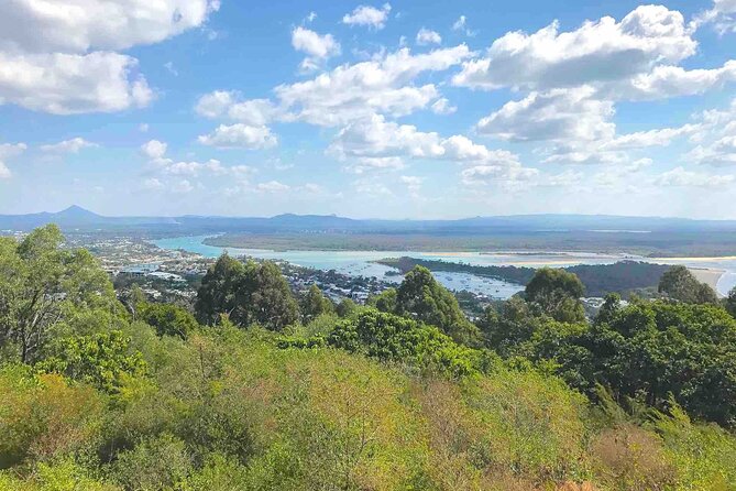 Secrets of Noosa Tour with Oceanview Lunch, Nature & Noosa River Ferry - Lake Weyba: birdlife and the Everglades connection