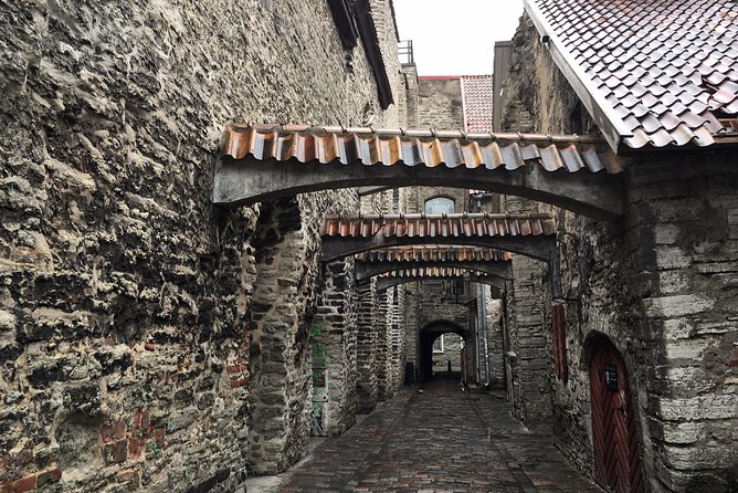 Tallinn Day Tour from Helsinki (Ferry Tickets+ Guiding+ Own Time) - Group size and family friendliness: when this trip fits best