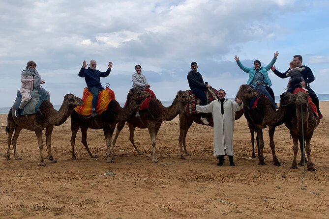 Tangier Private Full Day Tour Including Ferry Ticket & Camel Ride - Tangier Casbah and the Hill Fort Views