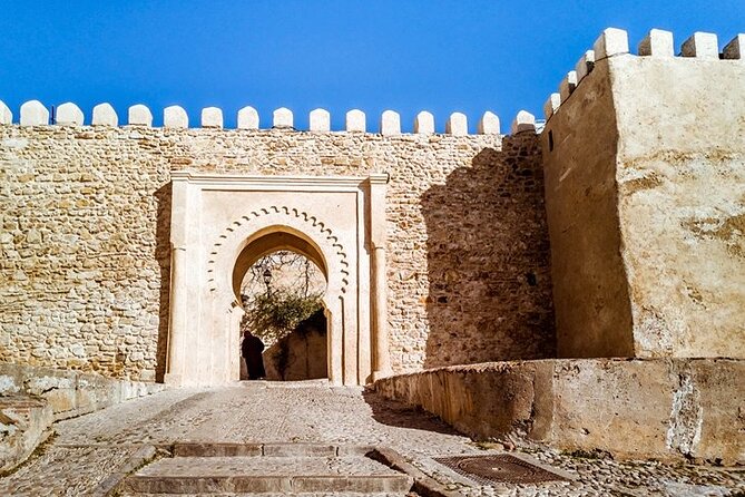 Tangier Private Tour from Tarifa with Express Ferry - Parc Perdicaris: The Forest Stop With a 1904 Story