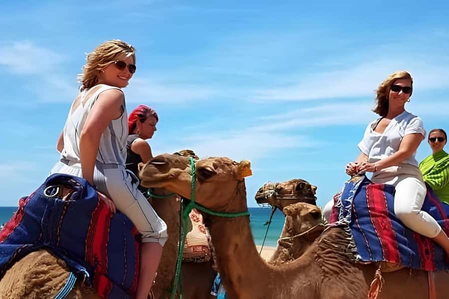 Tarifa/Algeciras: Tangier Private Day Tour with Ferry Ticket - Bab Kasbah and the climb into the medina world