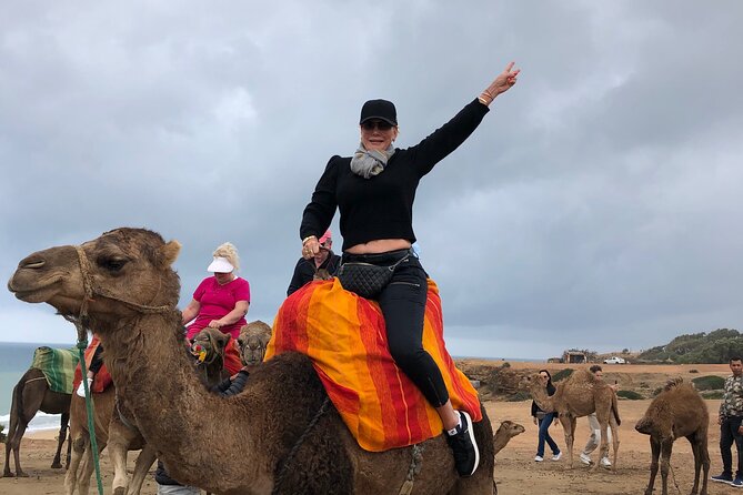 Tarifa to Tangier Tour with ferry ticket , lunch & camel ride - Key things I’d plan for