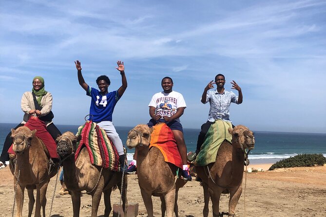 Tarifa to Tangier Tour with ferry ticket , lunch & camel ride - The old Medina walk: souks, Petit Socco, and craft culture