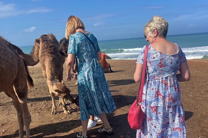 Tarifa to Tangier Tour with ferry ticket , lunch & camel ride - Lunch in Tangier: couscous, tagine, and pastilla