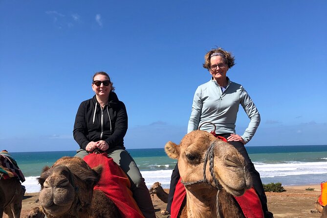 Tarifa to Tangier Tour with ferry ticket , lunch & camel ride - How the day flows (and where it can feel full)