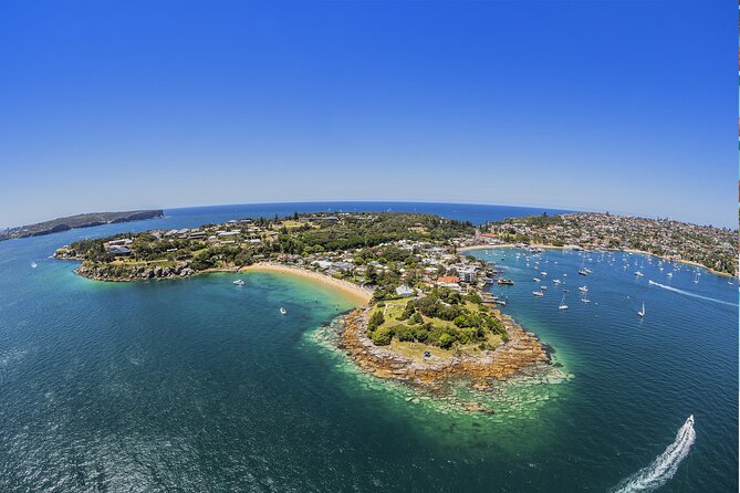 Taronga Zoo + Ferry Return Ticket - Best Time to Go, Crowds, and Weather Tactics