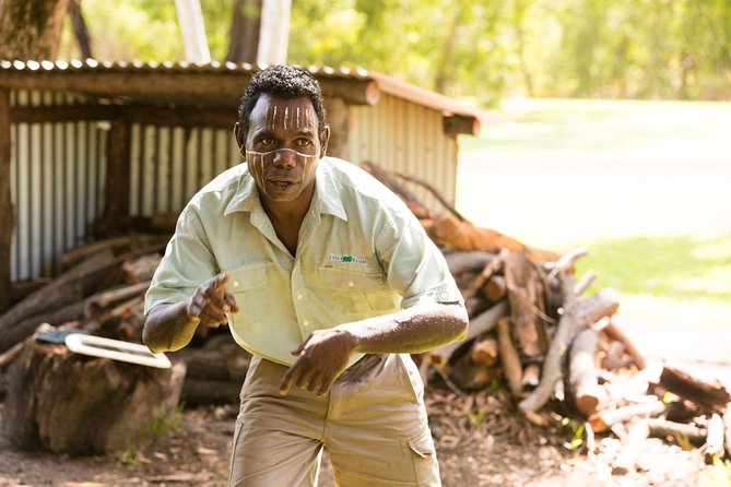 Tiwi Islands Cultural Experience from Darwin Including Ferry - From Darwin to Bathurst Island: What This Day Trip Feels Like