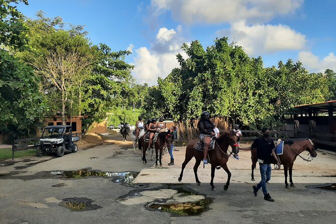 Transfer from San Juan to Ceiba Ferry or Ceiba to San Juan - Price and value: what $80 per person really buys