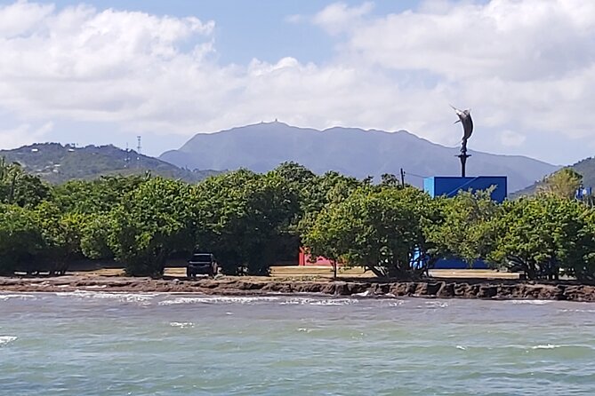 Transportation from San Juan to Ceiba ferry or airport - The 1-Hour Drive: Comfort, AC, and Getting Your Bearings Fast