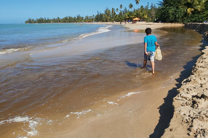 Transportation from San Juan to Ceiba ferry or airport - Who This Transfer Fits Best