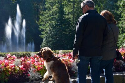 Victoria & Butchart Gardens Tour with Gulf Islands Cruise Ferry - Price and value: what you actually get for $214.46