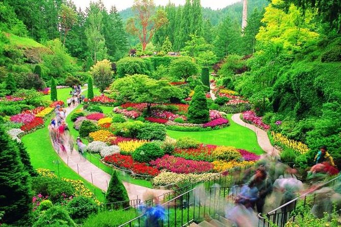 Victoria: Butchart, Mile 0, Harbor 1-Day Tour from Vancouver - The ferry crossing: where the wildlife spotting actually happens