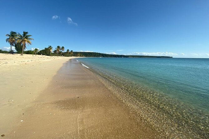 Vieques Bio Bay Tour and Beach Day Trip from San Juan by Ferry - El Malecon in Esperanza: Your Dinner-and-Walk Window